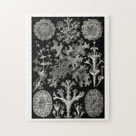 Ernst Haeckel Lichens Pussel
