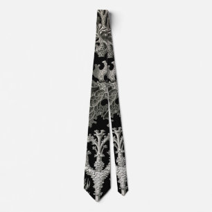 Ernst Haeckel Lichens Slips