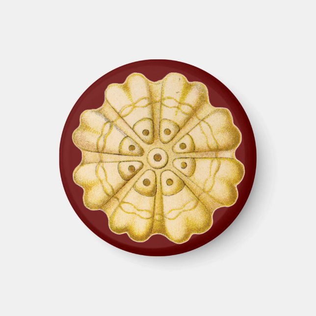 Ernst Haeckel Magnet (Framsidan)