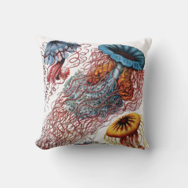Ernst Haeckel maneter Kudde