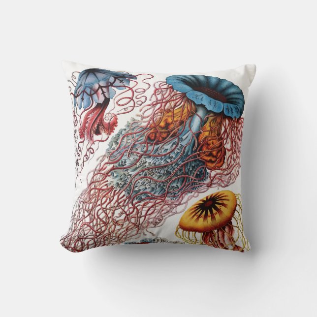 Ernst Haeckel maneter Kudde (Framsida)