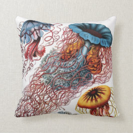 Ernst Haeckel maneter Kudde