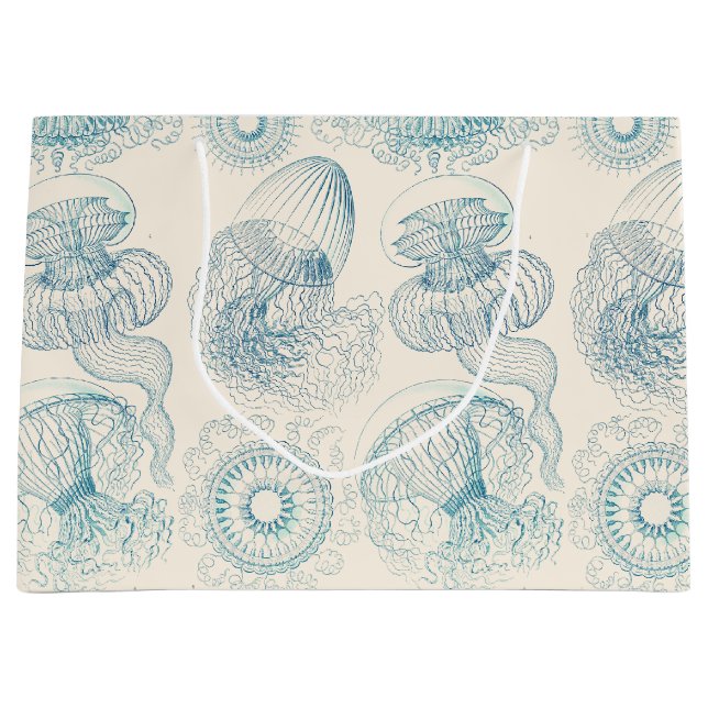 Ernst Haeckel Maneter Vintage Vetenskaplig Konst (Framsidan)