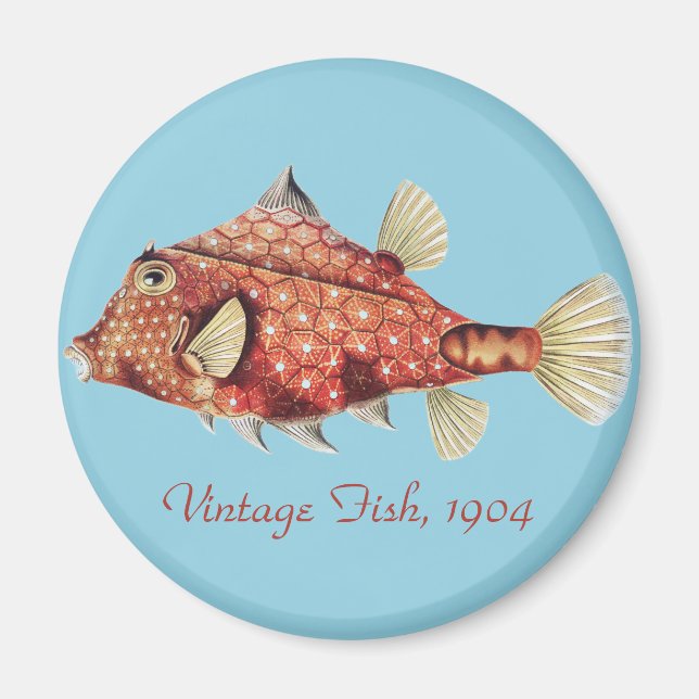 Ernst Haeckel Marin Röd Koffertfisk Havsliv Magnet (Framsidan)