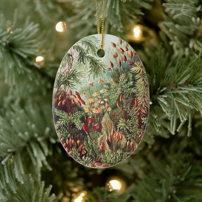 Ernst Haeckel Moss Naturtryck Mörk Akademi Julgransprydnad Keramik (Träd)