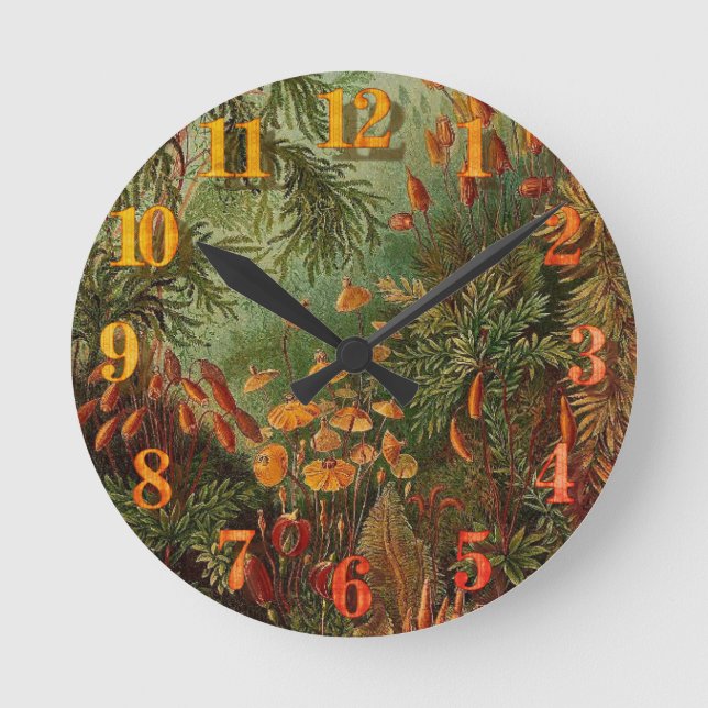 Ernst Haeckel Muscinae vintage illustration Rund Klocka (Framsida)