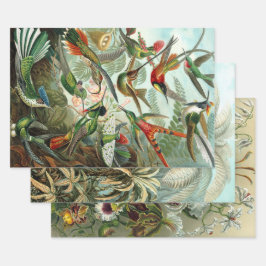 Ernst Haeckel Nature Wrapping Papper Lakan