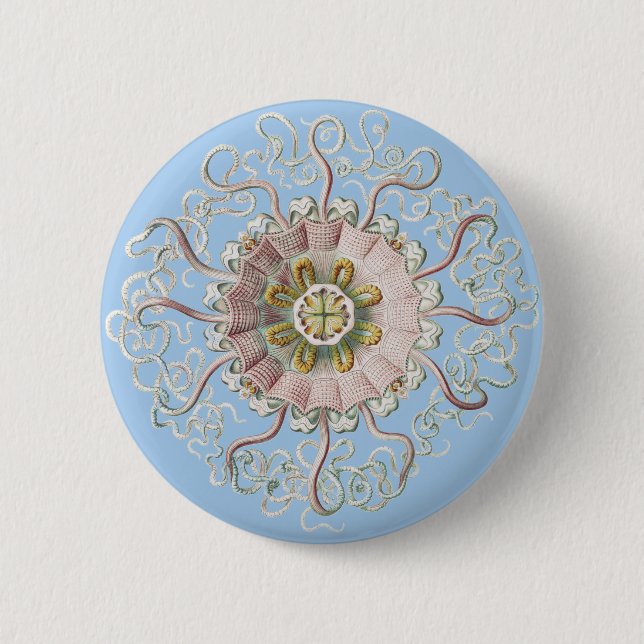 Ernst Haeckel Nausithoe Pink manet Medusa Knapp (Framsida)