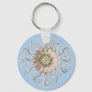 Ernst Haeckel Nausithoe Pink manet Medusa Nyckelring