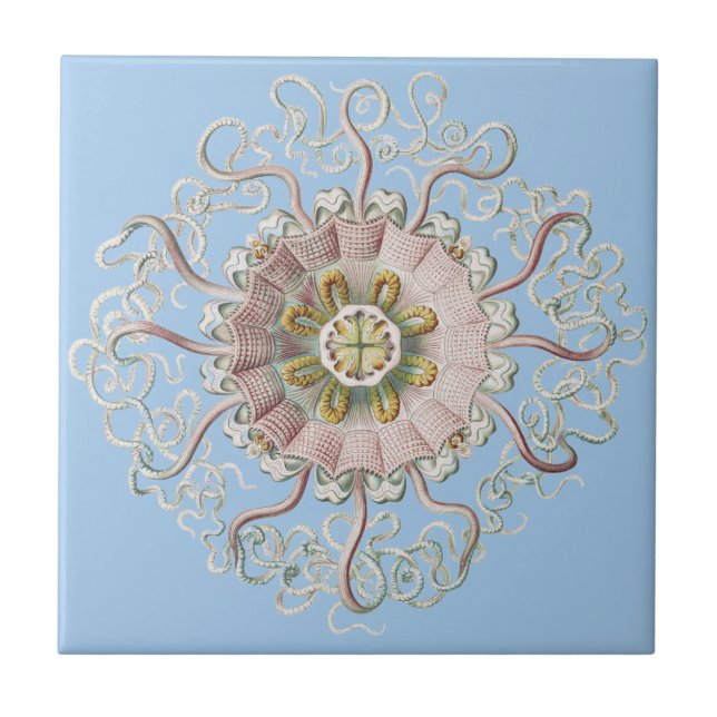 Ernst Haeckel Naustisk Rosa Maneter Medusa Kakelplatta (Framsidan)