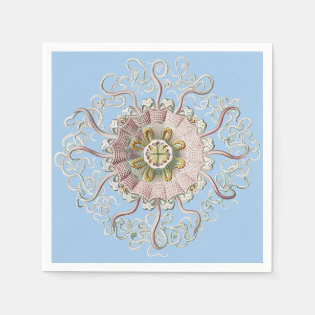 Ernst Haeckel Naustisk Rosa Maneter Medusa Pappersservett (Framsidan)