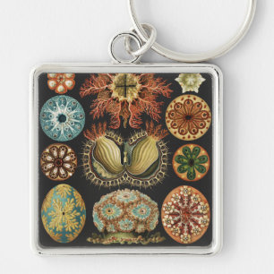Ernst Haeckel Nautiskt Havsliv Konstcollage Fyrkantig Silverfärgad Nyckelring