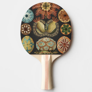 Ernst Haeckel Nautiskt Havsliv Konstcollage Pingisracket