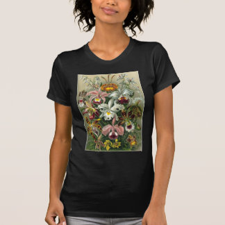 Ernst Haeckel - Orchidae Tee Shirt