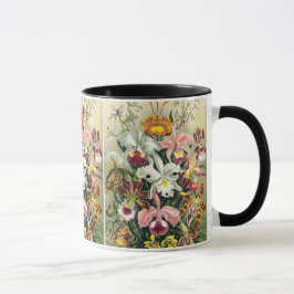 Ernst Haeckel - Orchids Mugg