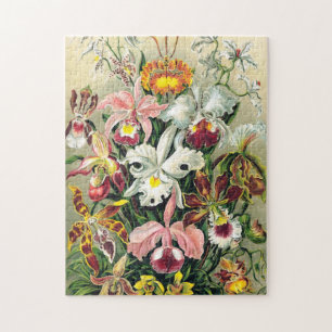 Ernst Haeckel - Orchids Pussel