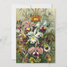 Ernst Haeckel Orchids, Vintage Rainforest Flowers