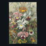 Ernst Haeckel Orchids, Vintage Rainforest Flowers Kökshandduk<br><div class="desc">Vintage illustrerar blommigtens botaniska utformning av Ernst Haeckel. En bukett av vackra tropiska orkidéblommor från regnskogarna. Bland de exotiska växter som finns finns Cymbidiums,  Oncidiums,  Odontolossumés,  Cattleyas.</div>