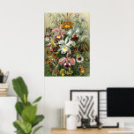 Ernst Haeckel Orchids, Vintage Rainforest Flowers Poster<br><div class="desc">Vintage illustrerar blommigtens botaniska utformning av Ernst Haeckel. En bukett av vackra tropiska orkidéblommor från regnskogarna. Bland de exotiska växter som finns finns Cymbidiums,  Oncidiums,  Odontolossumés,  Cattleyas.</div>