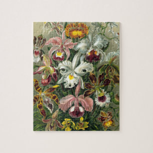 Ernst Haeckel Orchids, Vintage Rainforest Flowers Pussel