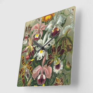 Ernst Haeckel Orchids, vintageRainforestblommor Fyrkantig Klocka