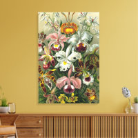 Ernst Haeckel Orkidéer, Vintage Regnskogsblommor