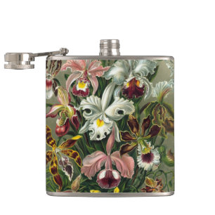 Ernst Haeckel Orkidéer, Vintage Regnskogsblommor Fickplunta