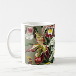 Ernst Haeckel Orkidéer, Vintage Regnskogsblommor Mugg
