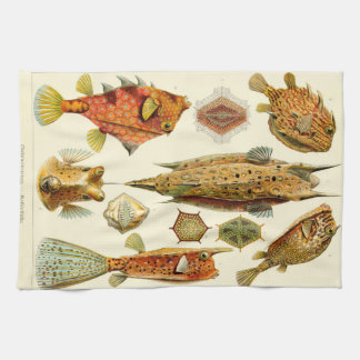 Ernst Haeckel Ostraciontes boxfishcowfish Kökshandduk