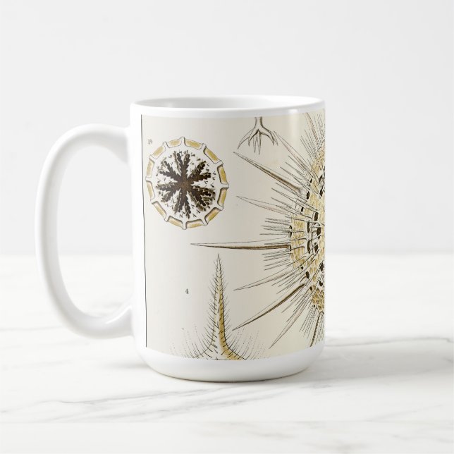 Ernst Haeckel Phaeodaria Kaffemugg (Vänster)