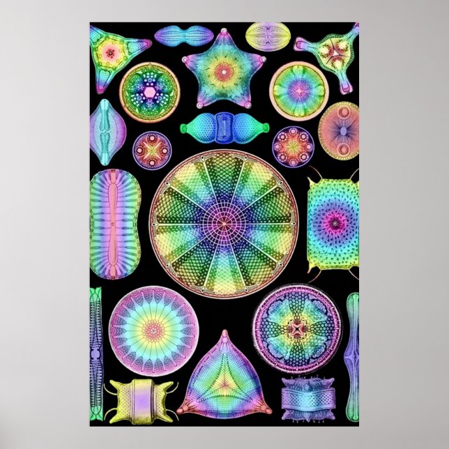 Ernst Haeckel Rainbow Diatoms Poster (Framsidan)