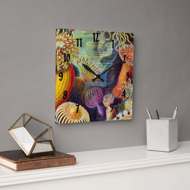 Ernst Haeckel Sea Anemones Marine:Actiniae Fyrkantig Klocka (Kontor)