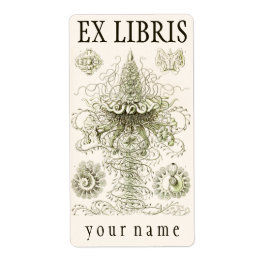 Ernst Haeckel Siphonophorae Bookplate Fraktsedel