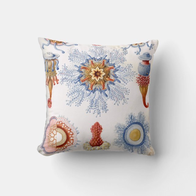 Ernst Haeckel Siphonophorae manetspyfluga! Kudde (Framsida)