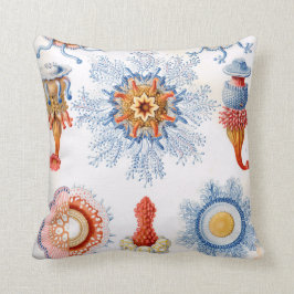 Ernst Haeckel Siphonophorae manetspyfluga! Kudde