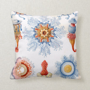 Ernst Haeckel Siphonophorae manetspyfluga! Kudde