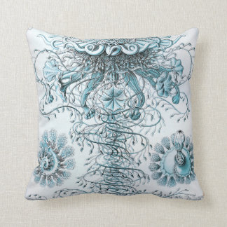 Ernst Haeckel Siphonophorae manetspyfluga Kudde