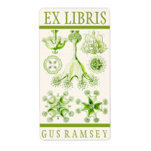 Ernst Haeckel Stauromedusae Bookplate