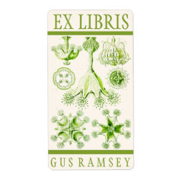 Ernst Haeckel Stauromedusae Bookplate Fraktsedel