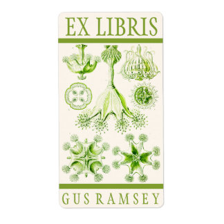 Ernst Haeckel Stauromedusae Bookplate Fraktsedel