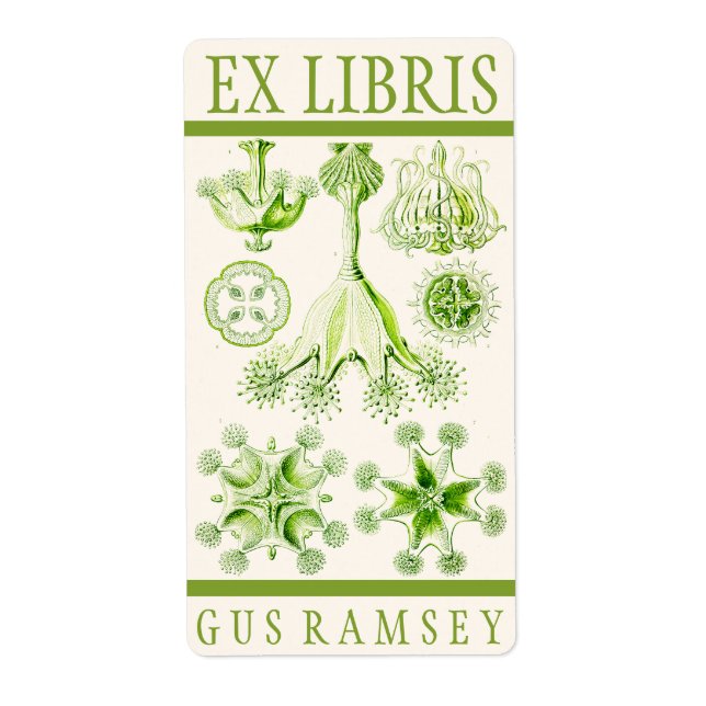 Ernst Haeckel Stauromedusae Bookplate Fraktsedel (Framsidan)