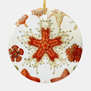 ernst haeckel-teckningar julgransprydnad keramik