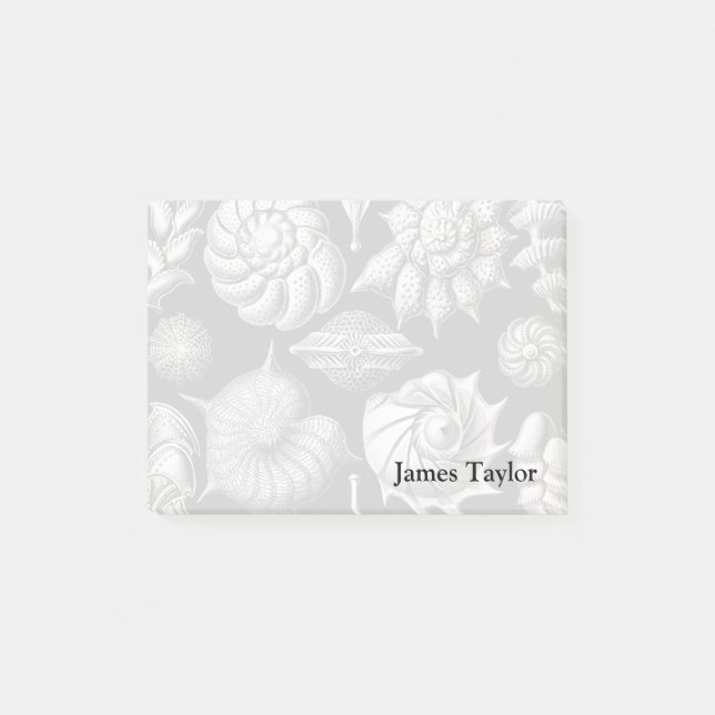Ernst Haeckel Thalamophora II Post-it Block (Framsida)