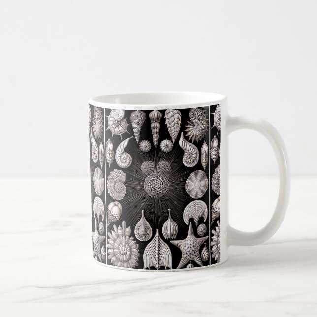 Ernst Haeckel Thalamophora mig Kaffemugg (Höger)