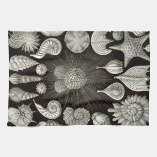 Ernst Haeckel Thalamphora beskjuter Teahandduken Kökshandduk