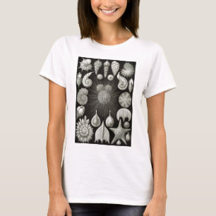 Ernst Haeckel Thalamphora Tee