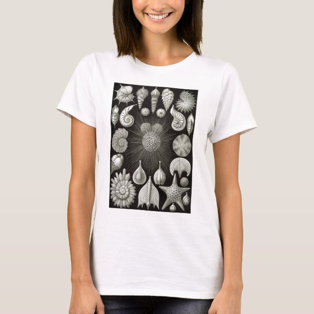 Ernst Haeckel Thalamphora Tee (Framsida)