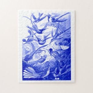 Ernst Haeckel Trochilidae Birds Monotone i Blue Pussel