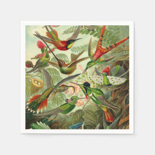 Ernst Haeckel Trochilidae Pappersservett