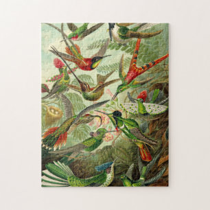 Ernst Haeckel Trochilidae Pussel
